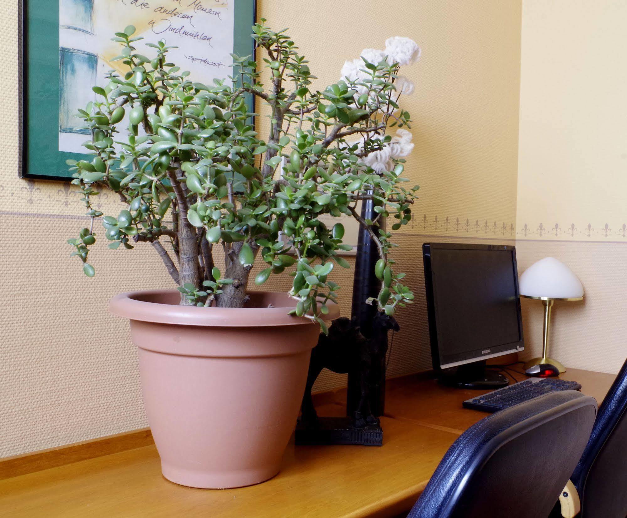 Hotel Merseburger Hof Leipzig Ngoại thất bức ảnh